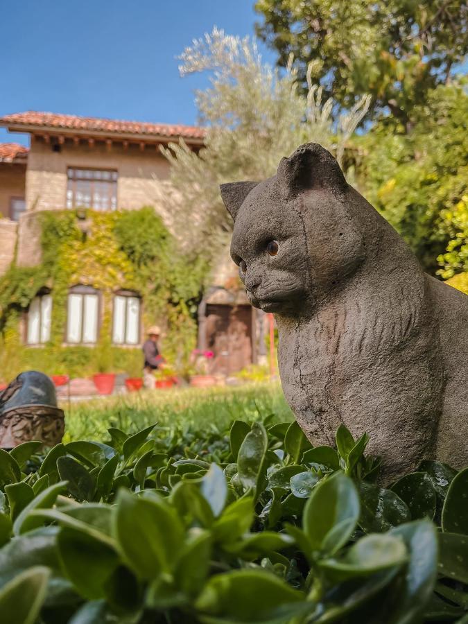 Casa Liza Bed and Breakfast San Miguel de Allende Buitenkant foto
